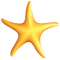 Starfish (2).png
