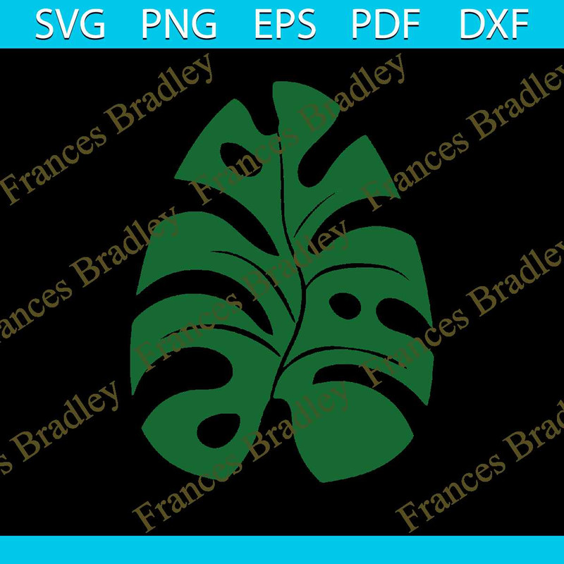 MR-frances-bradley-png080800097-5102023132234.jpeg