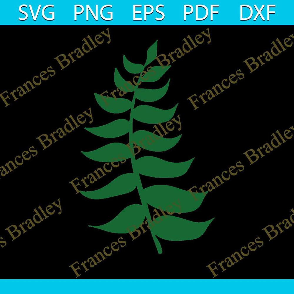 MR-frances-bradley-png080800096-5102023132348.jpeg