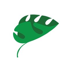 tropical leaves png, monstera leaf svg clipart, commercial use png, jungle leaves png clipart, palm branch png, tropical