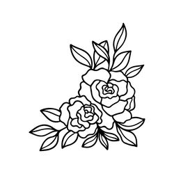 roses png, flower png