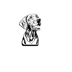 VIZSLA HEAD SVG, Vizsla Head Clipart, Vizsla Dog Head Svg Files For Cricut