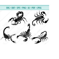 scorpions svg, scorpion cut file, scorpion clip art, scorpion silhouette, cricut cut files, silhouette files, decal desi