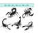 MR-5102023175042-scorpions-svg-scorpion-cut-file-scorpion-clip-art-scorpion-image-1.jpg