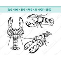 lobster svg, beach svg, shell fish silhouettes, sea animals svg, lobster  clipart svg, ocean svg, files for cricut, vect