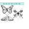 MR-5102023175639-celestial-butterfly-svg-boho-insect-svg-galaxy-butterfly-image-1.jpg