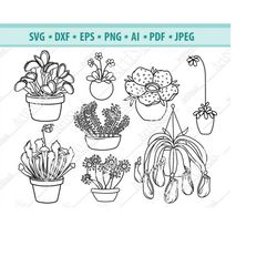 domestic predatory flowers svg, poisonous plant svg, home flower svg, plant monster svg, flower svg, exotic flower svg,