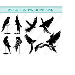 parrot svg,  parrot clipart, parrot files for cricut, parrot cut files for silhouette, parrot dxf, pets svg, wild bird p