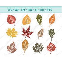leaf svg file, leaves svg, autumn svg, fall leaves svg, plants svg, maple leaf svg, fall autumn leaf svg, tree leaf svg,