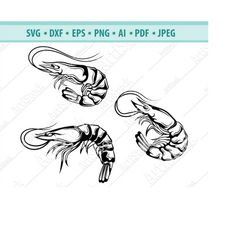 shrimp svg, beach svg, shell fish silhouettes, sea animals svg, shrimp clipart svg, ocean svg, files for cricut, vector,
