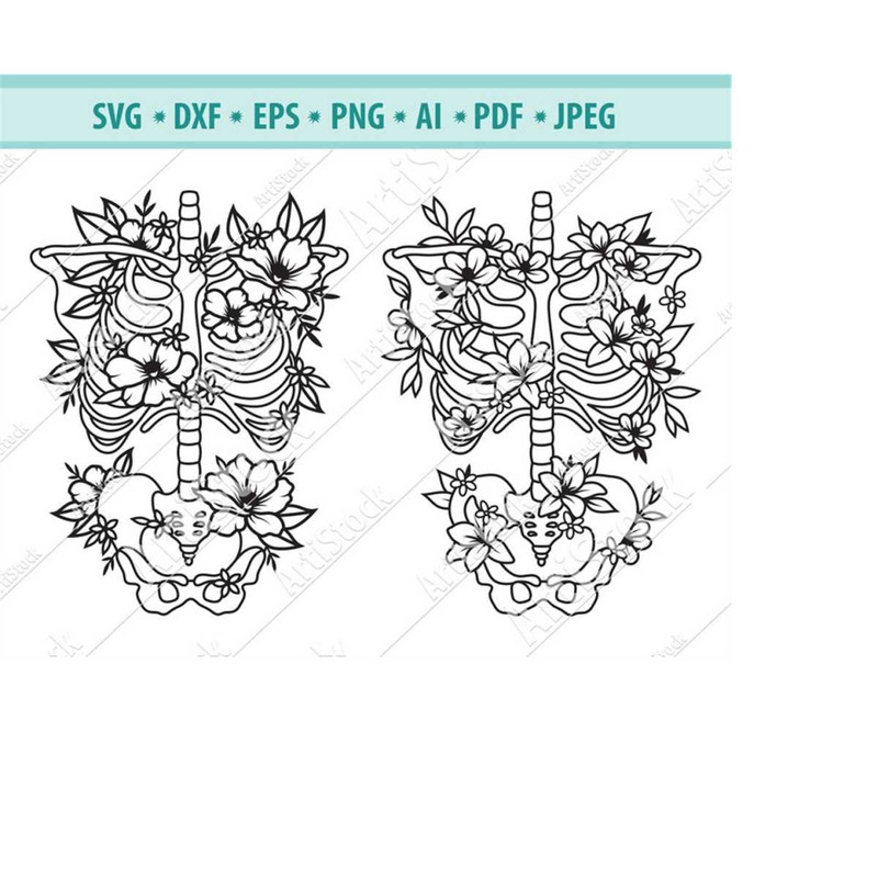 MR-5102023182730-skeleton-svg-file-flower-skeleton-svg-flower-ribs-svg-image-1.jpg