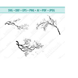 cherry blossoms svg, tree branch with flowers svg, sakura cricut, sakura flowers, japan svg, spring cherry blossom svg,