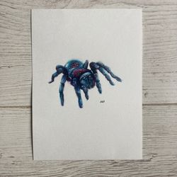 Original Spider Watercolor Painting, Tarantula Watercolor Art, Spooky Art, Insect Lovers Gift, Small Spider Painting