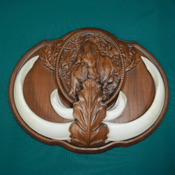 Large wild boar tusks on a carved medallion, trophy, wall mount
