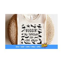 bugging my teacher for 100 days svg, png, 100th day of school, buggin' my teacher for 100 days svg, 100 days of school s
