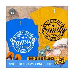 ain't no family like the one i got svg, family vacation svg, family reunion svg, family shirt svg
