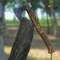 WhatsApp Image 2023-09-08 at 2.34.29 AM.jpg