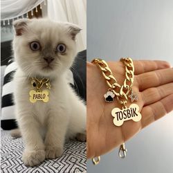 Pet Tag with chain and jewelry , Chain Collar with Pet Name, Pet ID Tag , Personalized Cuban Link Dog  Cat Necklace, Bon