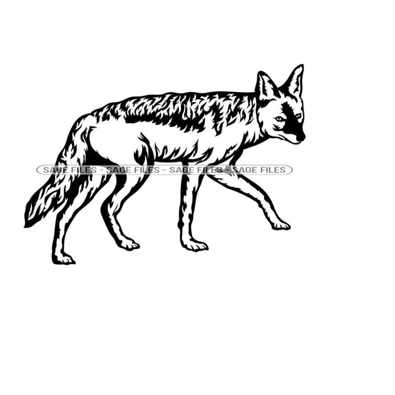 MR-61020238270-jackal-svg-safari-animals-svg-jackal-clipart-jackal-files-image-1.jpg