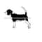 MR-610202384057-beagle-svg-dog-svg-beagle-clipart-beagle-files-for-cricut-image-1.jpg