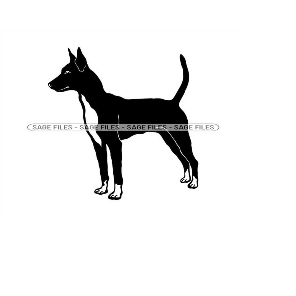 MR-610202393637-portuguese-podengo-svg-dog-svg-portuguese-podengo-clipart-image-1.jpg