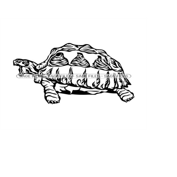 Angry Turtle 7 Angry Turtle SVG, Turtle Svg, Tortoise SVG, Turtle Clipart, - Inspire ...