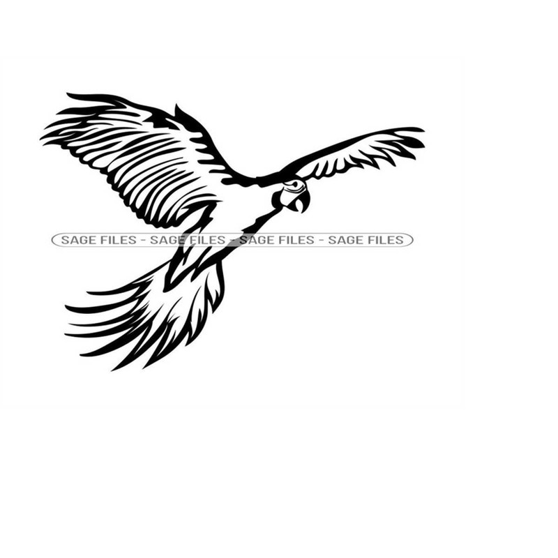 MR-610202394548-macaw-parrot-2-svg-parrot-svg-parrot-clipart-parrot-files-image-1.jpg