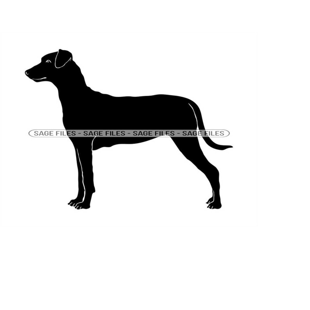 MR-61020239545-red-german-pinscher-svg-dog-svg-red-german-pinscher-clipart-image-1.jpg