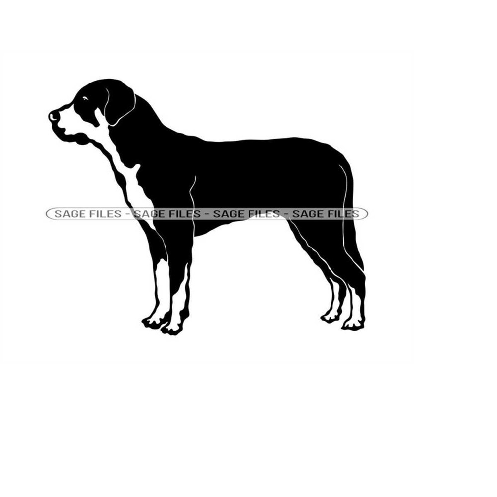 MR-610202395717-greater-swiss-mountain-dog-svg-dog-svg-greater-swiss-image-1.jpg