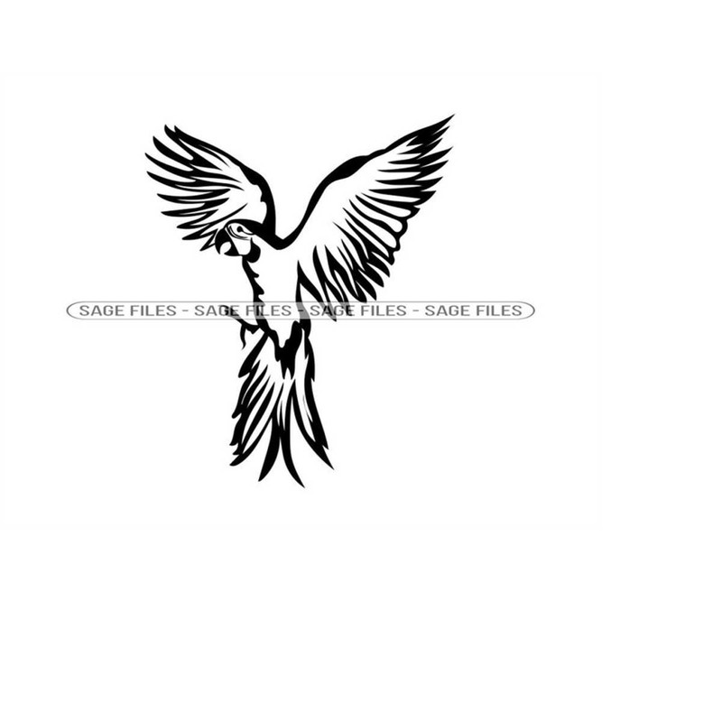 MR-610202310017-macaw-parrot-4-svg-parrot-svg-parrot-clipart-parrot-files-image-1.jpg