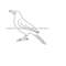 MR-6102023101011-crow-outline-svg-raven-svg-crow-clipart-crow-files-for-image-1.jpg