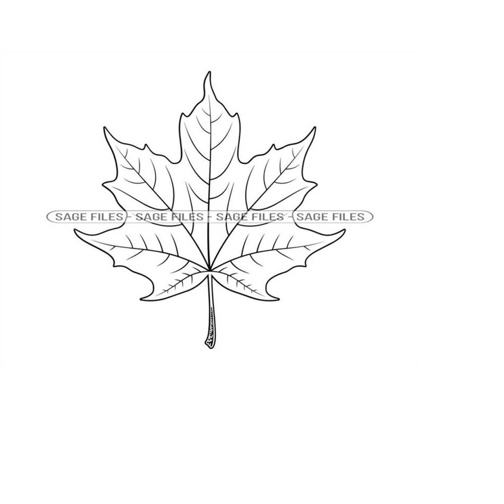 MR-6102023104244-maple-leaf-outline-svg-maple-leaf-svg-autumn-svg-maple-leaf-image-1.jpg