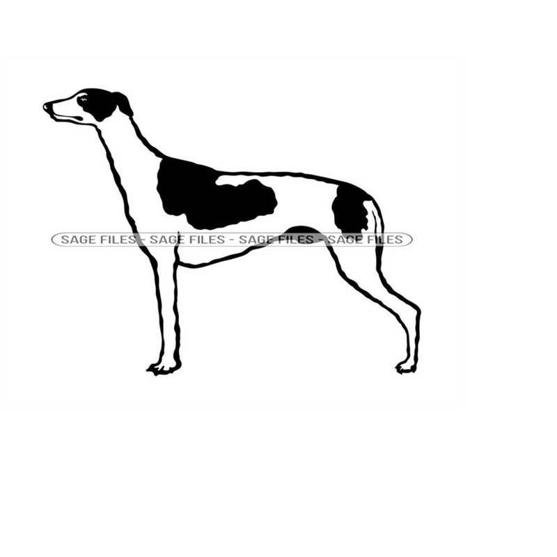 MR-6102023105340-greyhound-svg-dog-svg-greyhound-clipart-greyhound-files-for-image-1.jpg