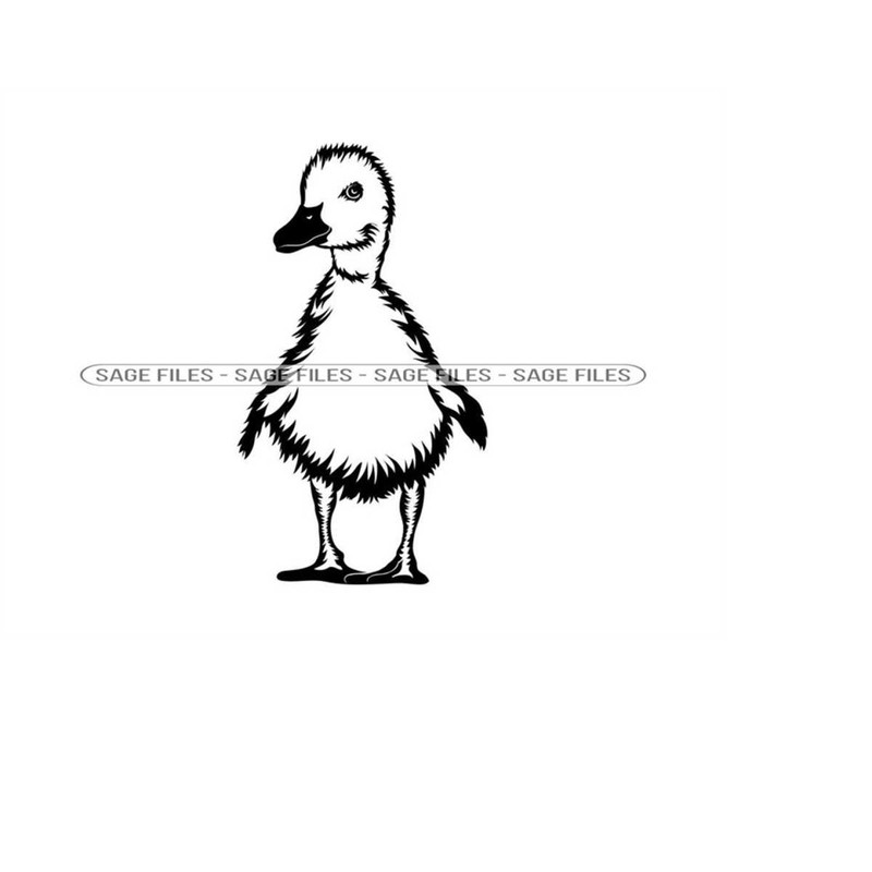 MR-610202311634-baby-duck-svg-duckling-svg-duck-svg-baby-duck-clipart-baby-image-1.jpg