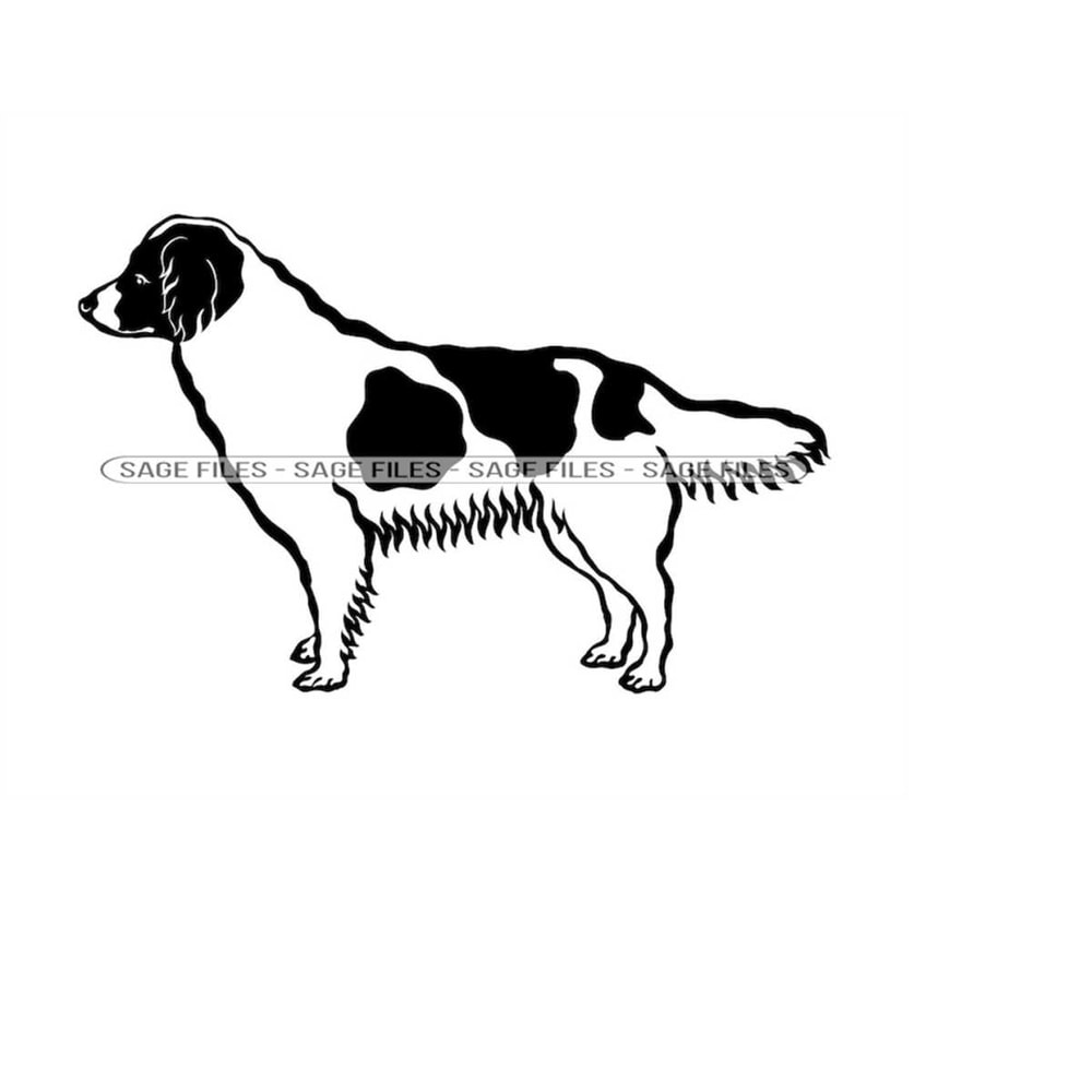 MR-6102023112315-nederlandse-kooikerhondje-svg-dog-svg-nederlandse-image-1.jpg
