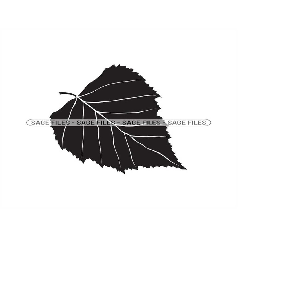 MR-6102023113243-birch-leaf-svg-birch-tree-leaf-svg-birch-leaf-clipart-birch-image-1.jpg