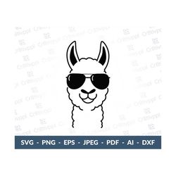 Llama SVG, Llama Aviator Sunglasses SVG, Llama Cricut, No Drama Llama SVG, Funny Llama Svg, Funny Llama Cricut, Llama Sv