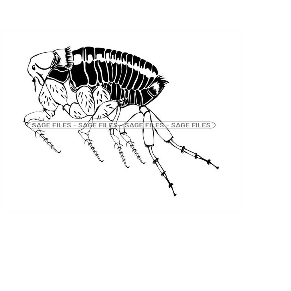 MR-6102023134512-flea-svg-insect-svg-bug-svg-flea-clipart-flea-files-for-image-1.jpg
