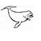 MR-6102023134857-beluga-whale-svg-whale-svg-beluga-whale-clipart-beluga-image-1.jpg