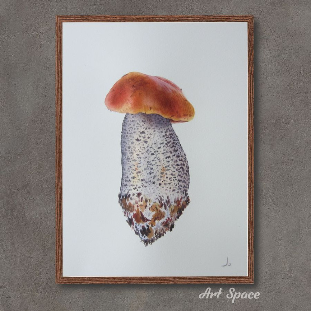 Orange-cap boletus-mushroom-botanical illustration-plant-picture brown-botany-watercolor painting-2.jpg