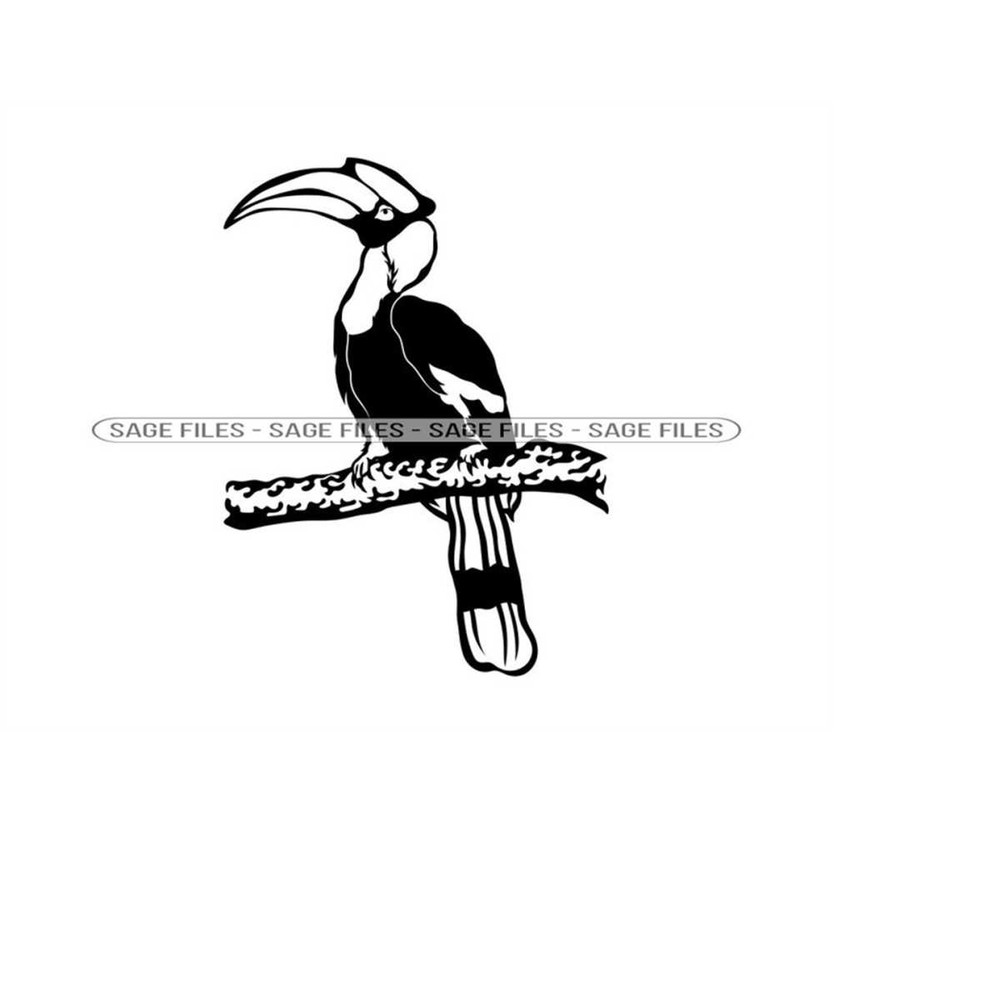 MR-6102023141649-great-hornbill-svg-bird-svg-great-hornbill-clipart-great-image-1.jpg