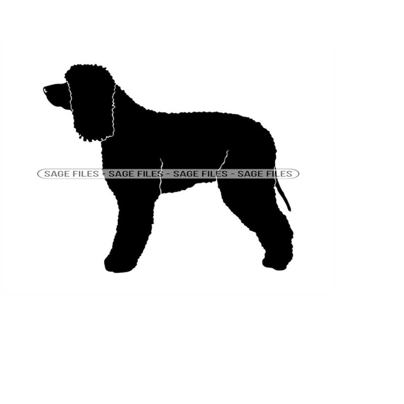 MR-610202314327-irish-water-spaniel-svg-dog-svg-irish-water-spaniel-clipart-image-1.jpg