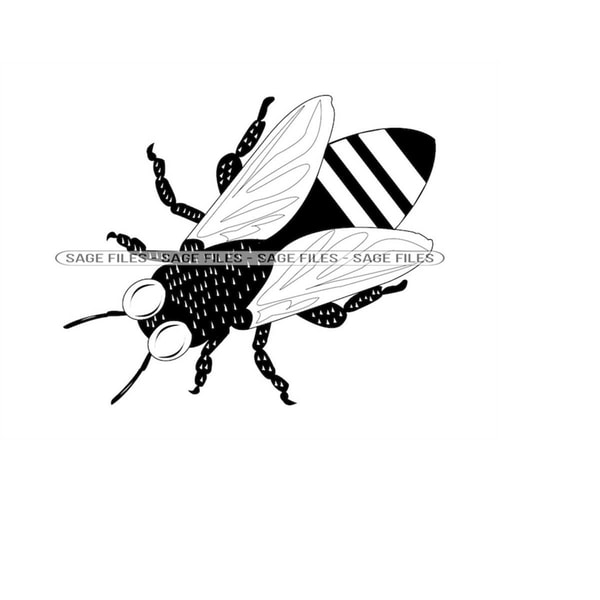Fly 9 SVG, Fly Svg, Flies Svg, Insect Svg, Fly Clipart, Fly | Inspire ...
