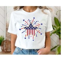 firework 4th of july shirt, firework expert funny pyro shirt pyrotechnician gift fourth of july shirt, america tee, amer