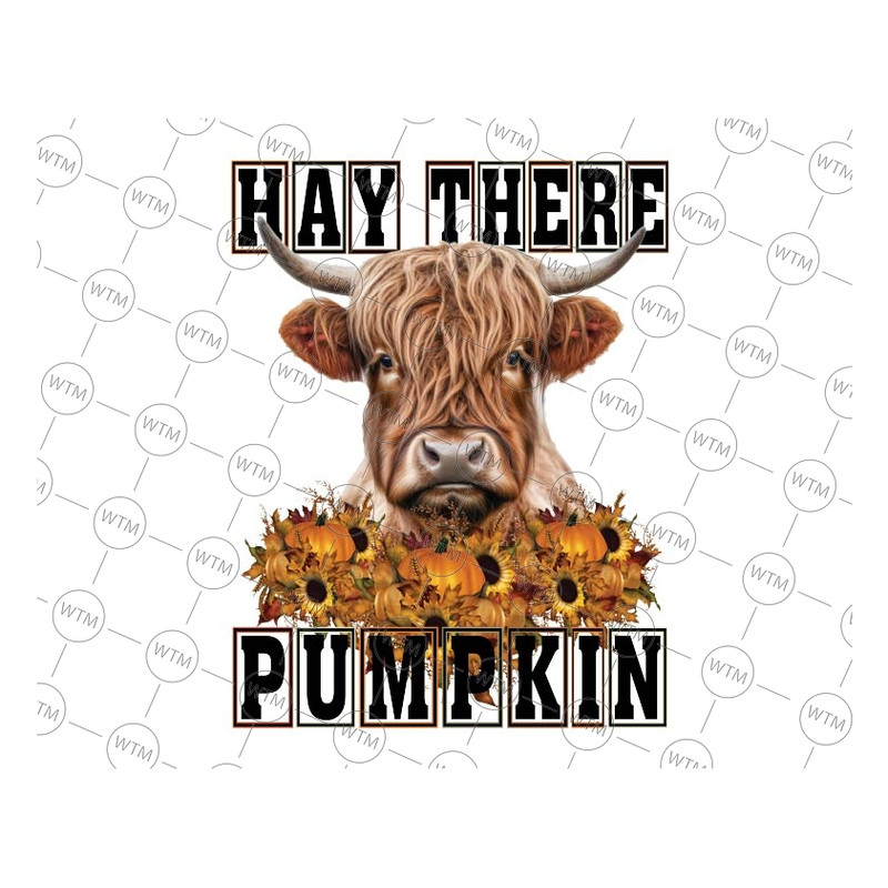 UNICORN WTM_CV_HLO3041 PNG.jpg