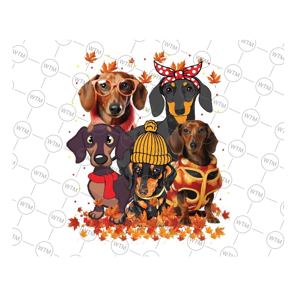 UNICORN WTM_CV_HLO3043 PNG.jpg