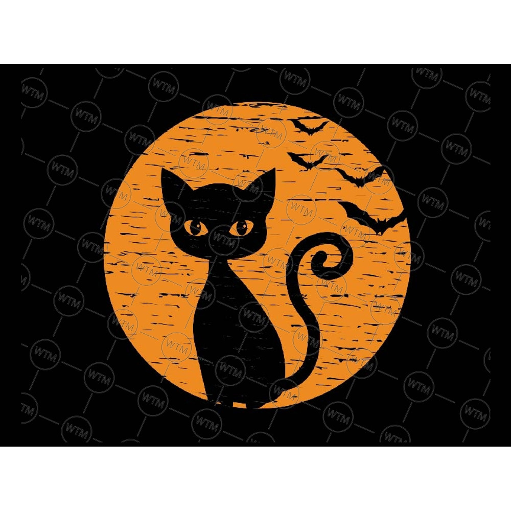 UNICORN WTM_CV_HLO3069.jpg