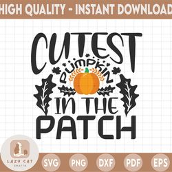 cutest pumpkin in the patch svg, pumpkin patch svg, fall design svg, fall svg, kids fall png, autumn svg, cut file
