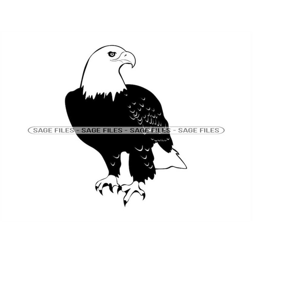 MR-6102023165435-eagle-6-svg-eagle-svg-eagle-png-eagle-design-eagle-image-1.jpg