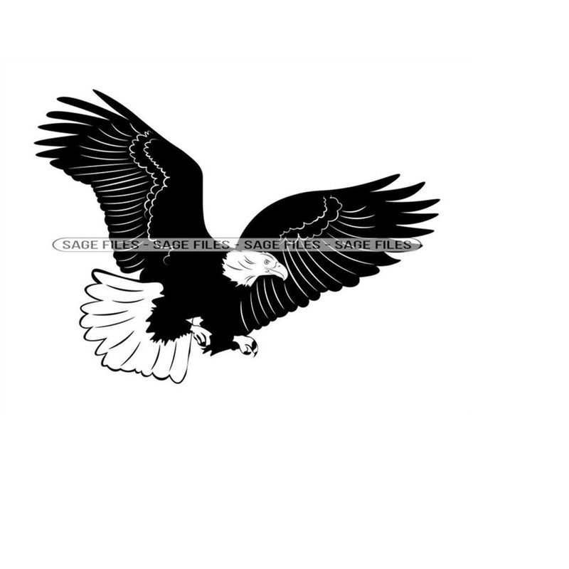 MR-610202316594-eagle-5-svg-eagle-svg-eagle-png-eagle-design-eagle-image-1.jpg